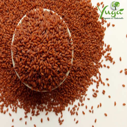 ಆಳ್ವಿ ಬೀಜಗಳ ಲಾಭಗಳು